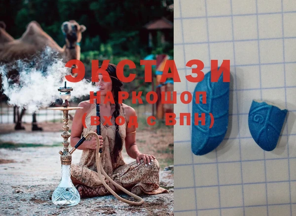 ГАЛЛЮЦИНОГЕННЫЕ ГРИБЫ Бородино