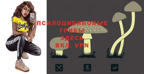 ГАЛЛЮЦИНОГЕННЫЕ ГРИБЫ Бородино