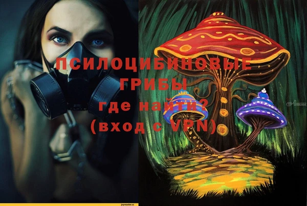 гашик Бронницы