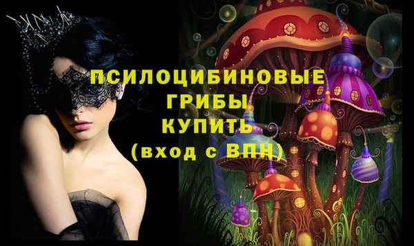 ГАЛЛЮЦИНОГЕННЫЕ ГРИБЫ Бородино