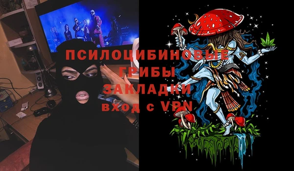 ГАЛЛЮЦИНОГЕННЫЕ ГРИБЫ Бородино