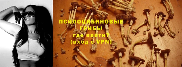 гашик Бронницы