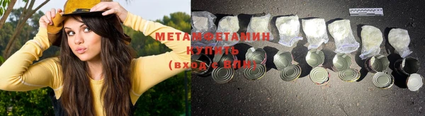 ГАЛЛЮЦИНОГЕННЫЕ ГРИБЫ Бородино